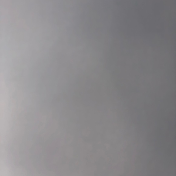 Meet your Posher, Dusty - Picture 1 of 1